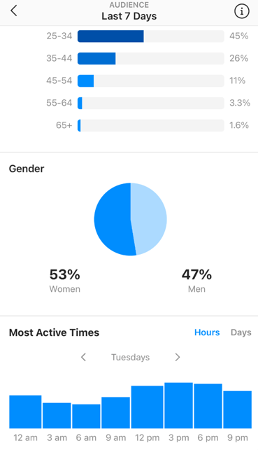 Three blue graphs against a blue background of demographic statistics for an audience on a professional real estate agent account on Instagram