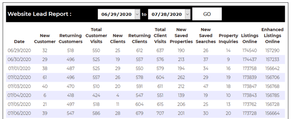 WebsiteLeadReport